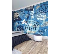 Graffiti Basketball Wall Mural Origin Murals Blue W350cm x H280cm