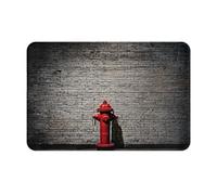 (Graffiti Colorful Brick) Printed Door Rugs for Bath Room,Bedroom and Office 16 X 24 in Floor Bath-mat, Soft Non-Slip Modern Indoor Carpets.