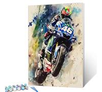 Graffiti Motorcycle Paint by Number for Adults,Watercolor Style DIY Digital Oil Painting Kits Canvas with Brushes and Acrylic ,Pictures Home Decor Abstract Graffiti Gift Gifts 16x20inch (Frameless)