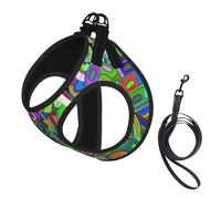 Graffiti Print Dog Harness Small Sized And Leash Set, Step In Soft Light Puppy Vest Breathable Mesh Pet Harness