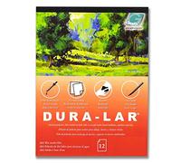 Grafix 004” Film Coated to Accept Water Based Mediums, Perfect for Watercolor, Planning Compositions, Painting Surfaces or Printmaking, Polyester, 11"x14"x0"