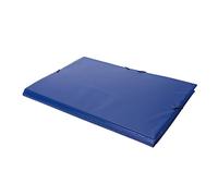Grafoplás 1240030 PVC Folder, Blue, Extended Folio