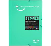 Grafoplás 4800826 Elastic Rubber Binder, 3 Flaps, Mint Green, Opaque Polypropylene, Folio, Like