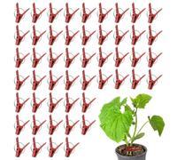 Grafting Clips - Pack of 50 Flat Mouth Plant Grafting Clamps for Gardeners | Reusable Eggplant Tomato Plant Clips, Plants Support Connectors for Climbing Vines, Seedling, Stem Binding Tool