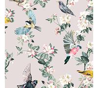 Graham & Brown Joules Handford Garden Birds Antique Cream Wallpaper | Easy Paste The Wall Application | Cream Animal Design | Eco Friendly