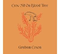 Graham Coxon - Crow Sit On Blood Tree