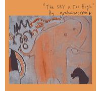 Graham Coxon - The Sky Is Too High [VINYL]