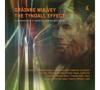 Maloney,Gavin - Gráinne Mulvey: The Tyndall Effect: A Commemoration Of Carlow-Born Scientist John Tyndall
