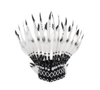 Gralara Feather Headdress Versatile Feather Headpiece Lightweight Headwear with Feathers for Dance Performances, Photo Shoots, Black And White