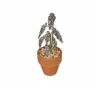 Gralara Miniature Plant Dollhouse Accessory Potted Ornament Figurine With Detailed Patterned Leaves And Sturdy Base Suitable for dollhouse interiors craft rooms photo props, Brown