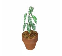 Gralara Pot Miniature Plant Dollhouse Accessory Potted Ornament Terracotta Pot Birch Material With Intricate Leaves And Natural Suitable for miniature houses, Green