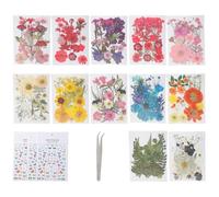 Gramigg 495Piece Dried Flower Craft Set Including Pressed Blooms And Butterfly Stickers For Resin Art And Journal Decorating Pressed Leaves And Flower Craft Essential