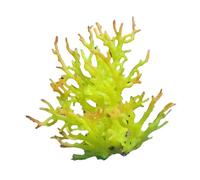 Gramigg Aquarium Corals Decors Plant Ornaments Colorful Water Plant Tanks Landscaping Colorful Artificial Tree Appearance Fish Tanks Ornaments Small