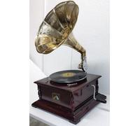 Gramophone Recorder Player Phonograph Wokring 14X24 Inches