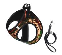Grand Canyon print Dog Harness and Leash Set, Reflective Adjustable Puppy Vest for Small Medium Large Dogs, Cats