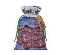 (Grand Canyon) Printed Christmas M Size Gift Bags with Green Ribbon Drawstring Candy Bags for Kids Xmas Holiday Christmas Eve Presents