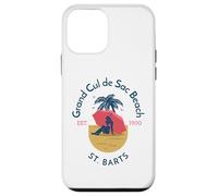 Grand Cul de Sac Beach St. Barts Case for iPhone 12 mini
