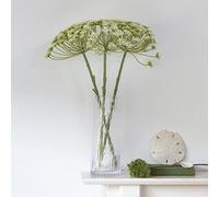 Grand IllusionsTall Glass Vase Clear Ripple 26.5 cm tall