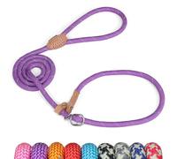 Grand Line Slip Lead Dog Leash - Anti Pull Dog Lead with 1.5m Reflective Training Rope, No Collar Needed for Small, Medium, Large Dogs & Cats (Purple,M)