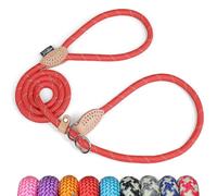Grand Line Slip Lead Dog Leash - Anti Pull Dog Lead with 1.5m Reflective Training Rope, No Collar Needed for Small, Medium, Large Dogs & Cats (Red,M)