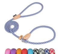 Grand Line Slip Lead Dog Leash - Anti Pull Dog Lead with 1.5m Reflective Training Rope, No Collar Needed for Small, Medium, Large Dogs & Cats (Blue-Green,M)