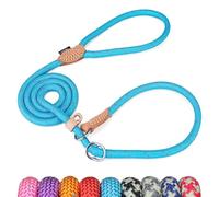 Grand Line Slip Lead Dog Leash - Anti Pull Dog Lead with 1.5m Reflective Training Rope, No Collar Needed for Small, Medium, Large Dogs & Cats (Blue,M)