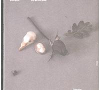 Grand Salvo - Slay Me In My Sleep