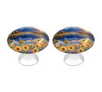 Grand Teton National Park Cabinet Knobs Stainless Steel Round Drawer Pulls for Wardrob Doorknob