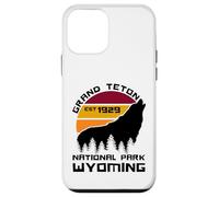 Grand Teton National Park Case for iPhone 12 mini