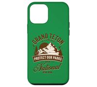 Grand Teton National Park Case for iPhone 12 mini