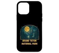 Grand Teton National Park Forest Peaks Case for iPhone 12 mini