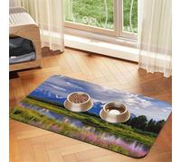 Grand Teton National Park Pet Feeding Mat Absorbent Pu Leather Dog Cat Food Mats Contain Spills Protects Floors, Anti-Slip Rubber Backing Dog Bowl Mats Easy Clean Pet Placemats 30x45cm