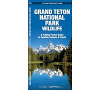Grand Teton National Park Wildlife: A Folding Pocket Guide to Familiar Plants & Animals (A Pocket Naturalist Guide) (Pocket Naturalist Guide Series)