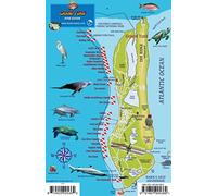 Grand Turk Dive Map - Turks & Caicos Reef Creatures Guide Franko Maps Waterproof Fish Card