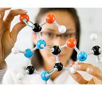 Grand Unified Theories