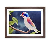 Grand Watercolour Bird Framed Print | A2 Walnut Framed Wall Art | Ready to Hang | Modern Historical Picture | Living Room Bedroom Lounge Office
