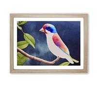 Grand Watercolour Bird H1022 Framed Print for Living Room Bedroom Home Office Décor, Wall Art Picture Ready to Hang, Oak A2 Frame (64 x 46 cm)