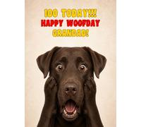 Grandad 100th Birthday Card (Funny Surprised Chocolate Labrador Dog)