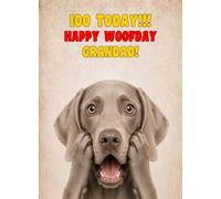 Grandad 100th Birthday Card (Funny Surprised Weimaraner Dog)