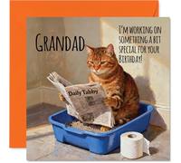 Grandad Birthday Card - Working on Something Special - Happy Birthday Card for Grandad from Grandson Granddaughter, 145mm Funny Cat Litter Tray Humour Bday Greeting Cards