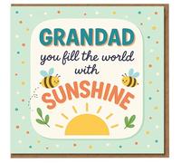 Grandad Birthday Card - You Fill the World with Sunshine - Cute Bees and Sun Design