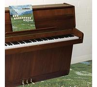 Grandaddy - The Sophtware Slump.....on a wooden piano [VINYL]