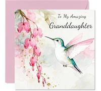 Granddaughter Birthday Card - Hummingbird Wishes - Happy Birthday Card for Granddaughter from Grandad Grandma, 145mm Pink Floral Illustration Bday Greeting Cards