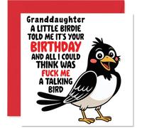 Granddaughter Birthday Card - Talking Bird - Happy Birthday Card for Granddaughter from Grandad Grandma, 145mm Talking Bird Bday Greeting Cards