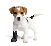 Grande Finale Breathable Protective Recovery Socks for Dogs, Cats, 100% Softshell - Surgical Protective Covers for Injuries, Stop Lightweight (2 (S) - 5 cm H - 9 cm, Black)