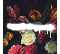 Grande Roses - Built On Schemes [VINYL]