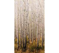 Grandeco A42601 Birch Forest Wall Picture