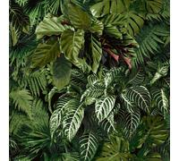 Grandeco Ciara Tropical Palm Green Wallpaper Botanical Modern