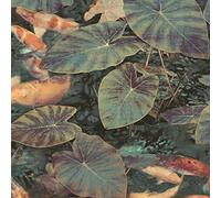 Grandeco Koi Green Tropical Carp Pond Multi Paste The Wall Wallpaper Vinyl
