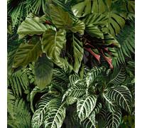 Grandeco Living Wall Tropical Fern Foliage Biophilic Textured Wallpaper, Green